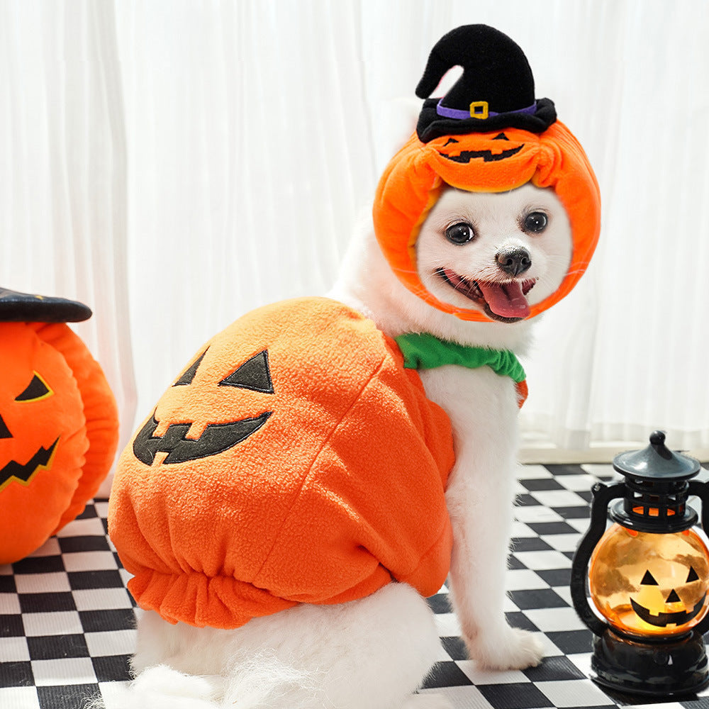 Pumpkin Pet Costume Vest | Halloween Harness for Small Dogs & Cats
