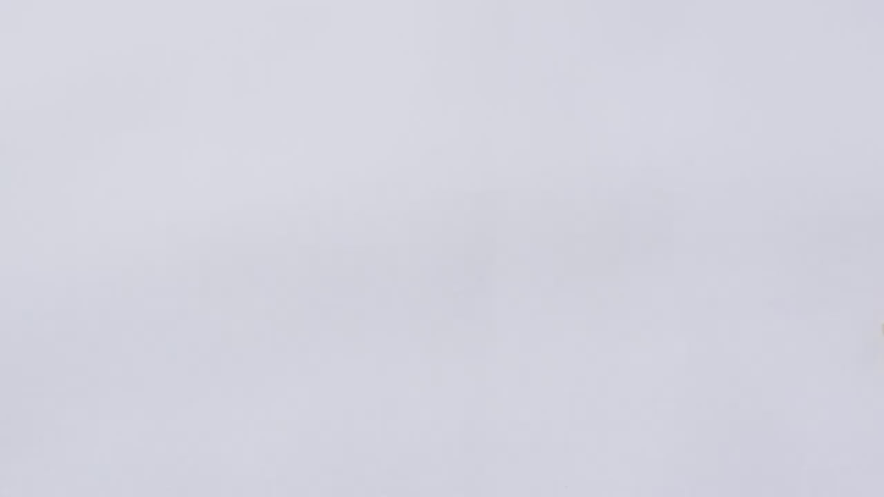 Round Natural Moonstone Necklace 