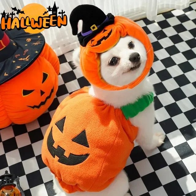 Pumpkin Pet Costume Vest | Halloween Harness for Small Dogs & Cats