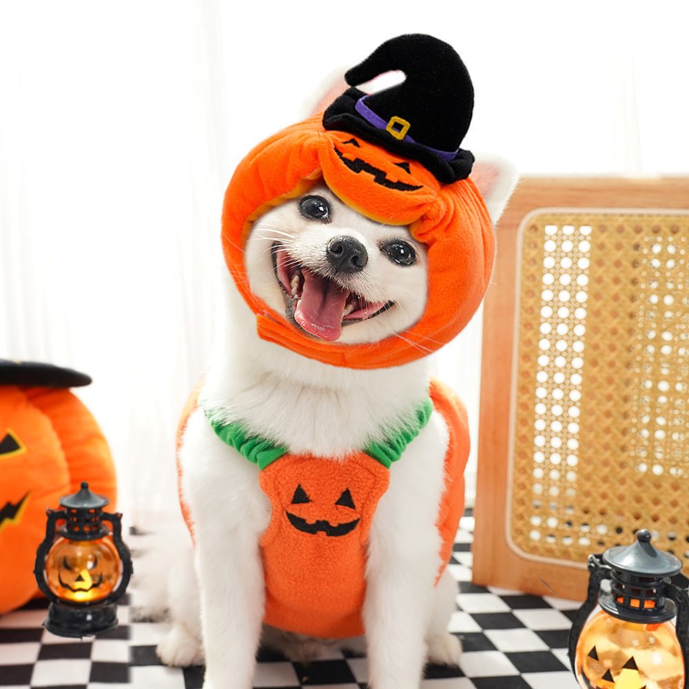 Pumpkin Pet Costume Vest | Halloween Harness for Small Dogs & Cats
