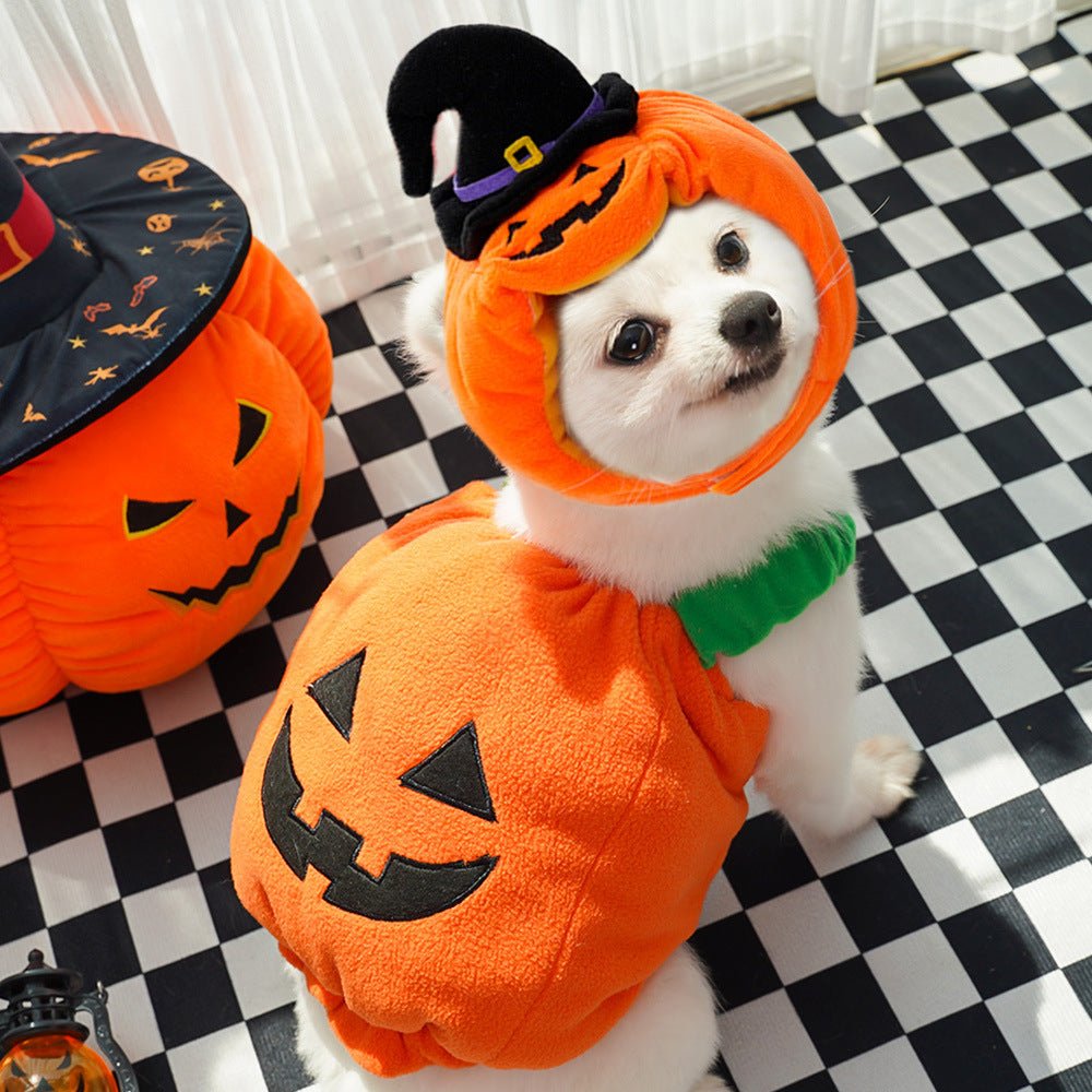 Pumpkin Pet Costume Vest | Halloween Harness for Small Dogs & Cats