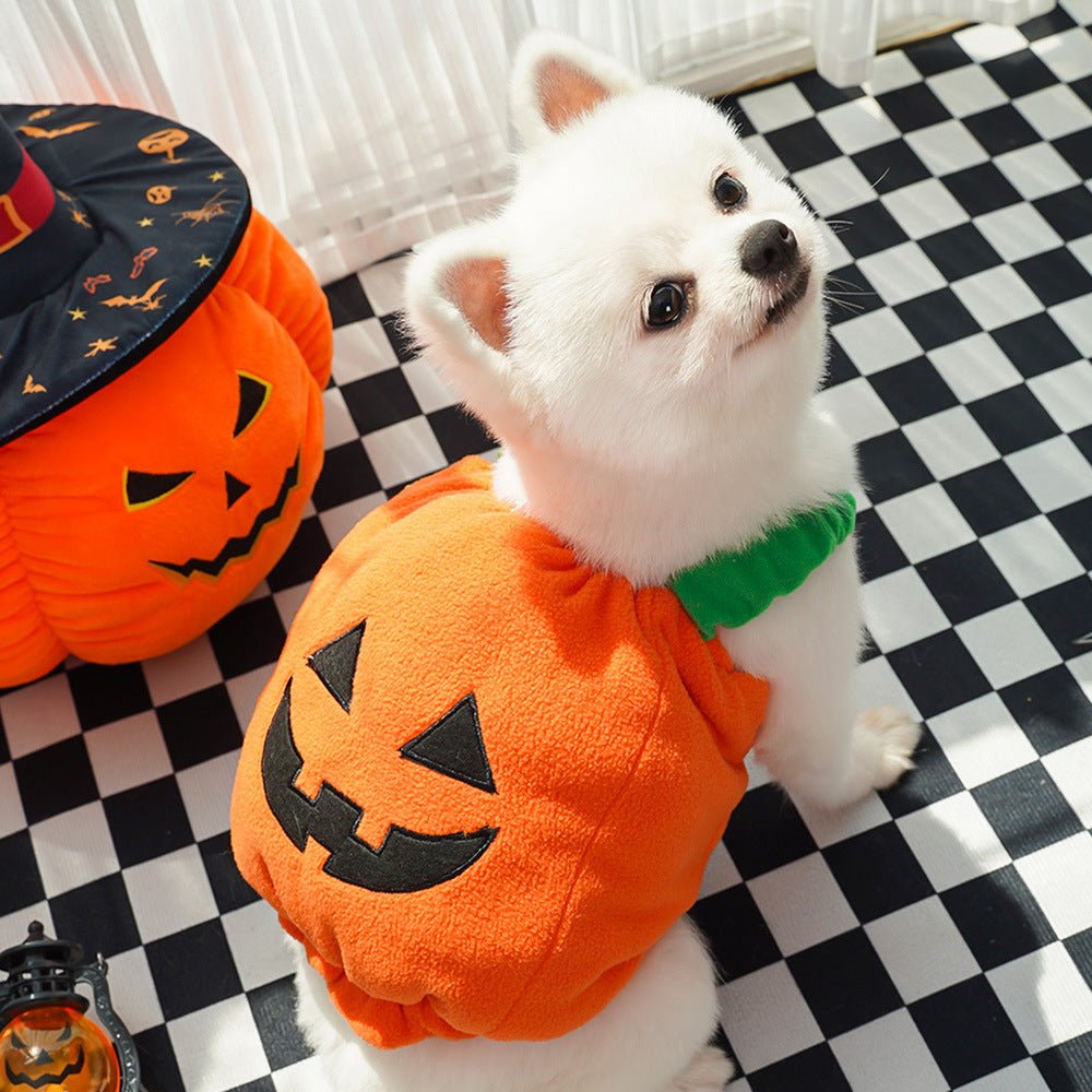 Pumpkin Pet Costume Vest | Halloween Harness for Small Dogs & Cats